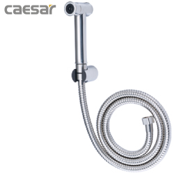凱撒(CAESAR)沖洗器 BS310CWT