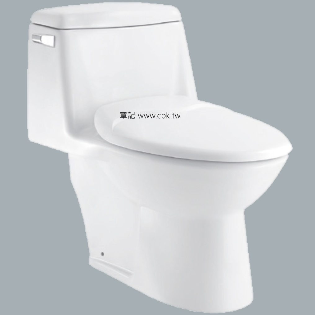 和成牌(HCG)單體馬桶 C4293AdbT_C4296AdbT  |淨水系統|淨水器