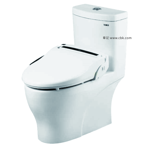 電光牌(TENCO)二段式單體馬桶附潔屁電腦馬桶座 SC5962A-TE4  |SPA淋浴設備|蓮蓬頭、滑桿