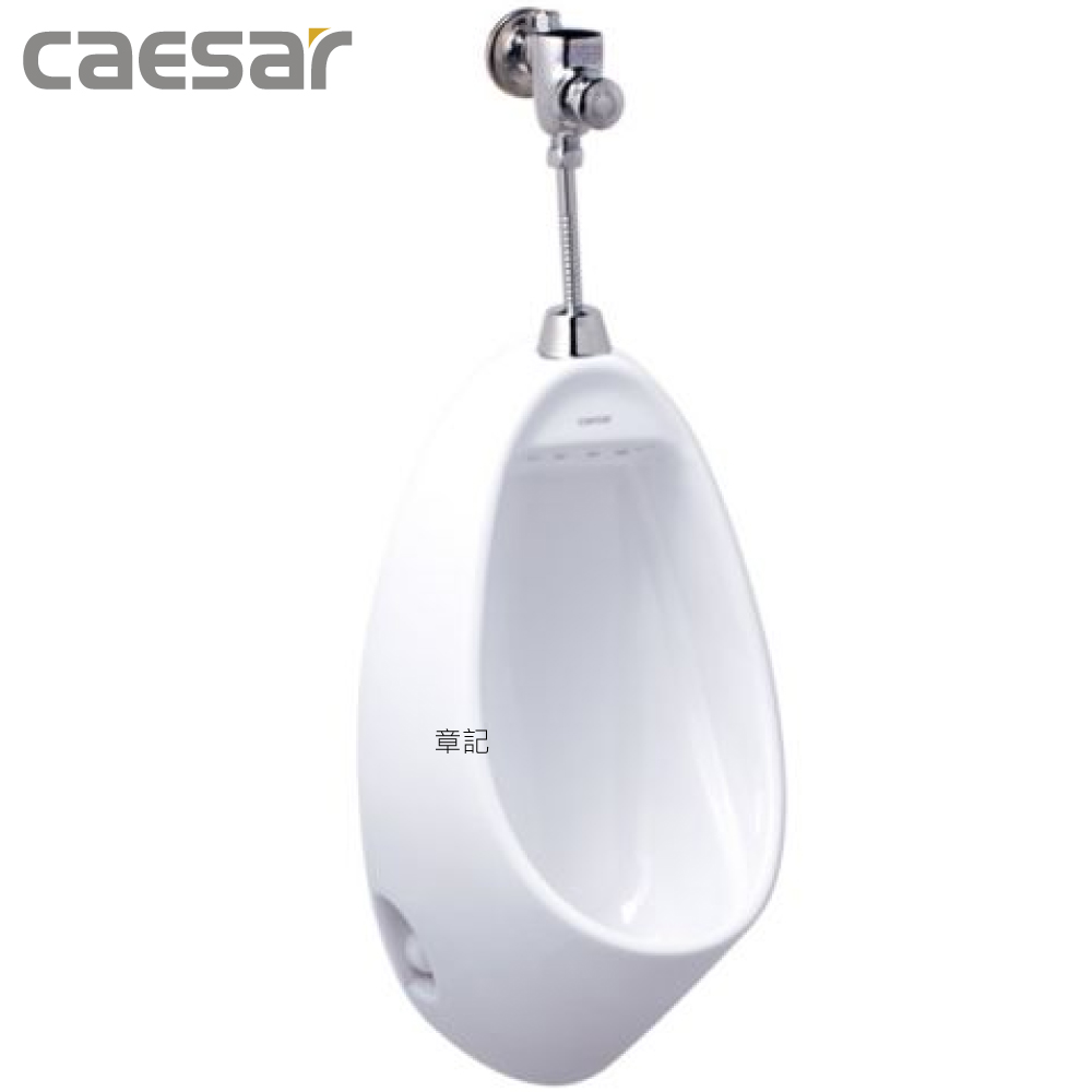 凱撒(CAESAR)指壓沖水壁掛便斗 U0221-BF412G 
