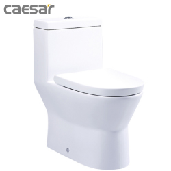 凱撒(CAESAR)二段式省水馬桶 CF1374_CF1474