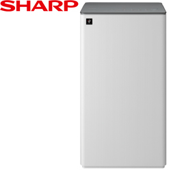 SHARP 3合1雙氣流美型除濕機(奶油白) DW-T15FT-W【全省免運費宅配到府】
