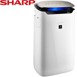 SHARP自動除菌離子空氣清淨機FP-J80T-W【全省免運費宅配到府】
