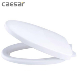 凱撒CAESAR抗菌緩降便座馬桶蓋 M233