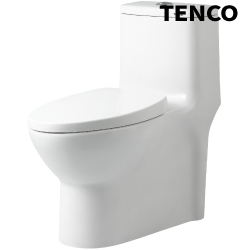電光牌(TENCO)二段式單體馬桶 SC5965A-T