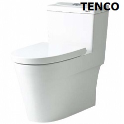 電光牌(TENCO)二段式單體馬桶 SC5971A-T