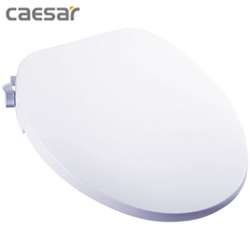 凱撒CAESAR逸潔電腦馬桶座 TAF060