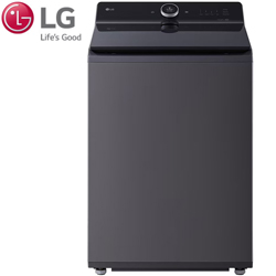 LG AI DD 直立式洗衣機 WT-TD23HG【免運費宅配到府+贈送標準安裝】