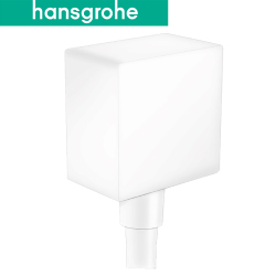 hansgrohe FixFit 蛇管接頭 26455-70