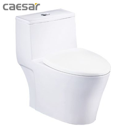 凱撒CAESAR二段式單體馬桶 CF1456