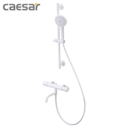 凱撒(CAESAR)控溫烤漆沐浴龍頭組 TS620W_WG121W_SH233W